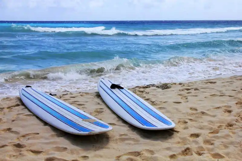How to choose a surfboard cutter? How to choose a surfboard cutter?